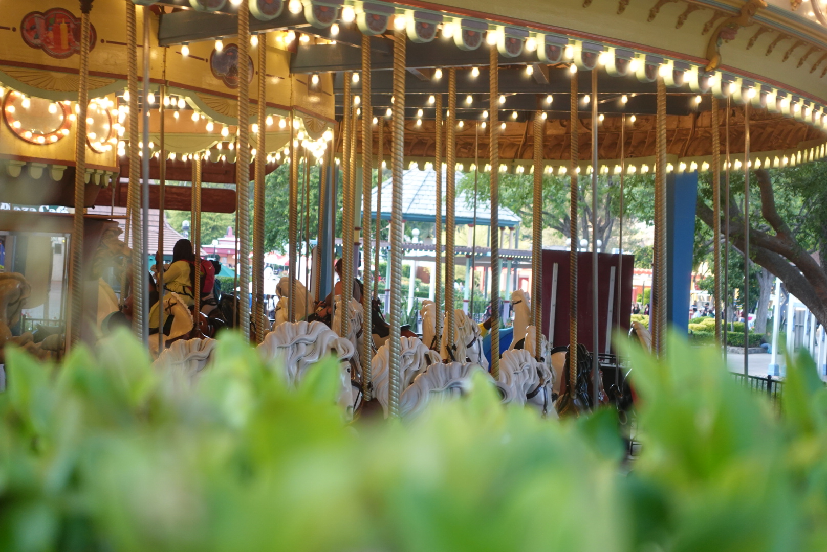 FileGrand Carousel, Six Flags Magic Mountain.jpg Coasterpedia The Roller Coaster and Flat