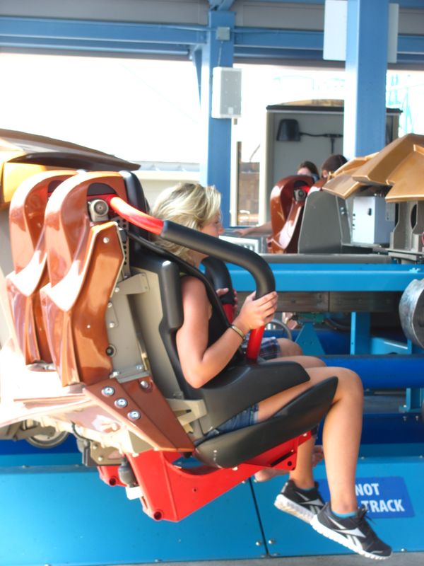 Vest harness Coasterpedia The Roller Coaster and Flat Ride Wiki