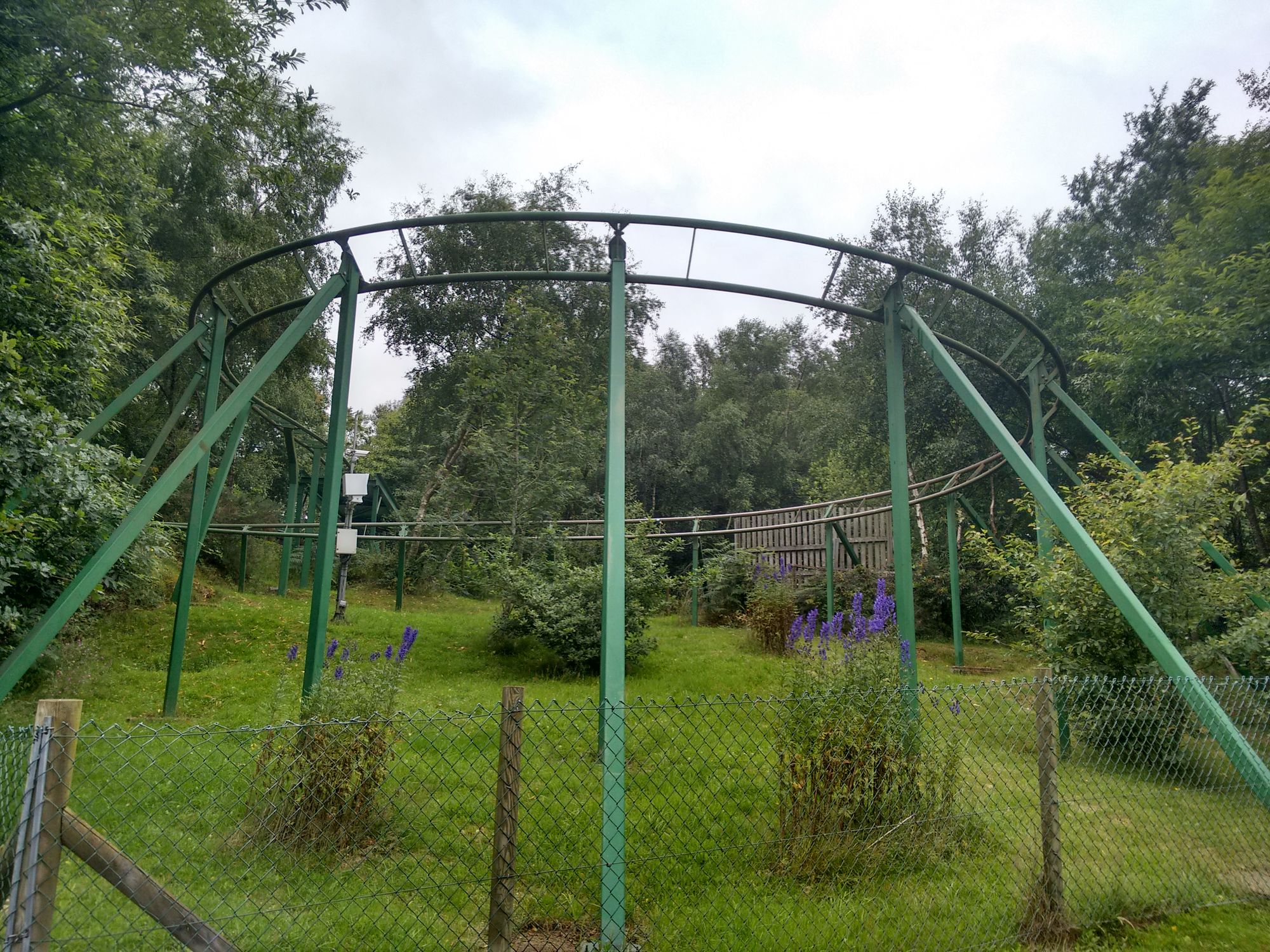 Green Dragon (GreenWood Forest Park) Coasterpedia The Roller