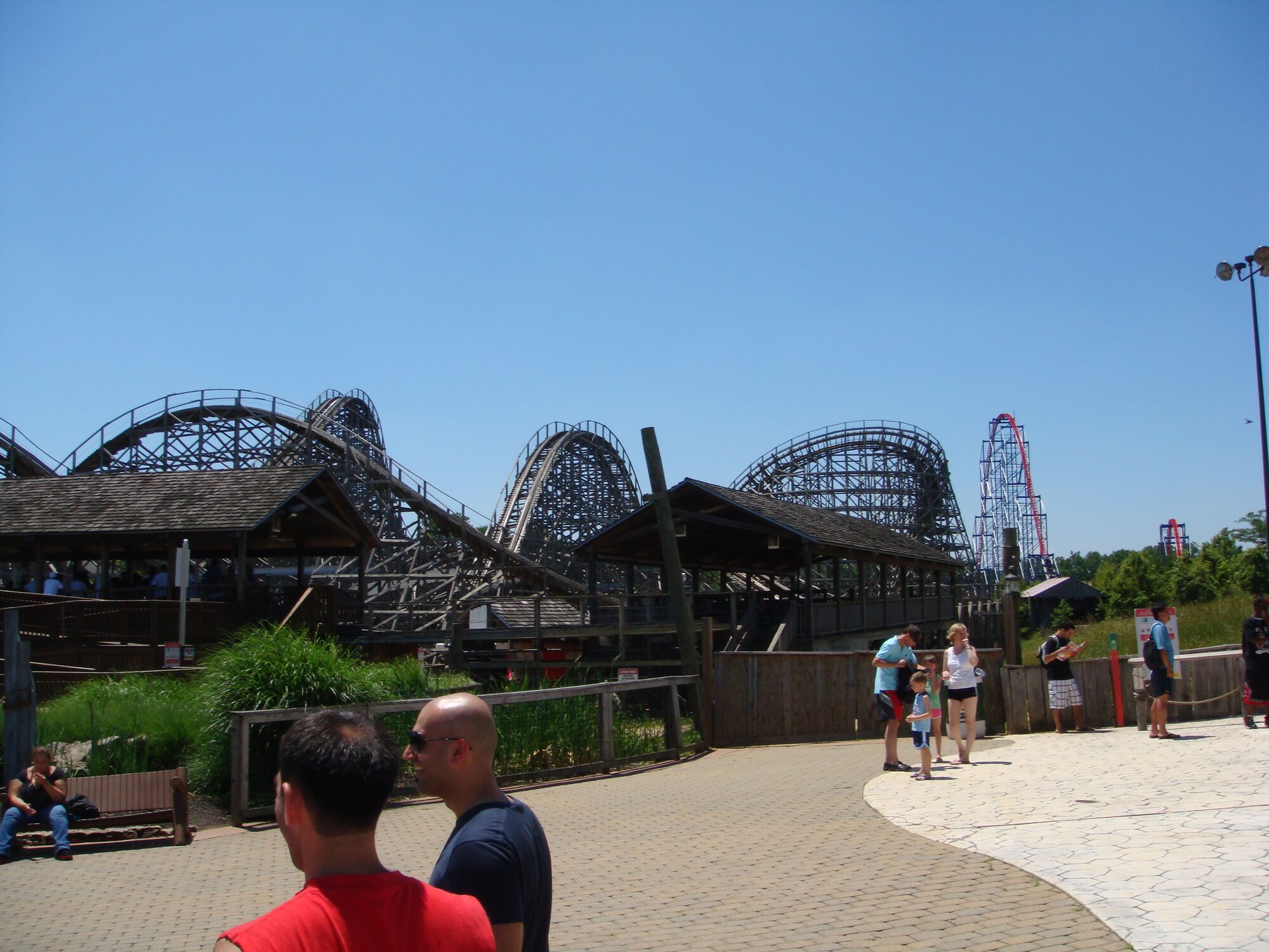 Roar! Six Flags' Animal Ride Takes You On A Wild Journey - qv8s37u